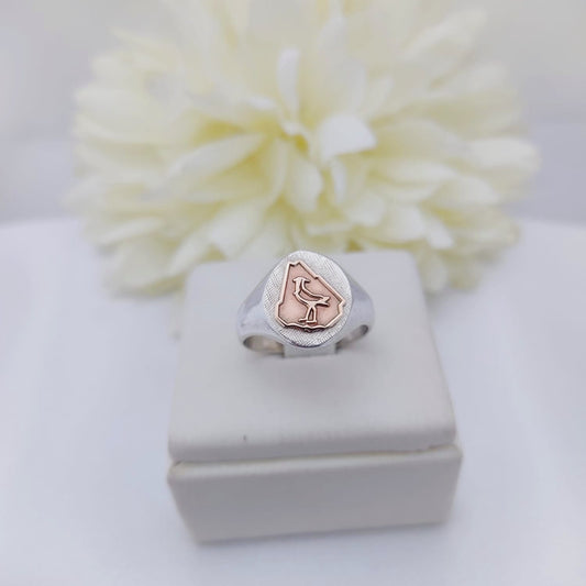 Anillos Profesión Ingeniero Agrónomo