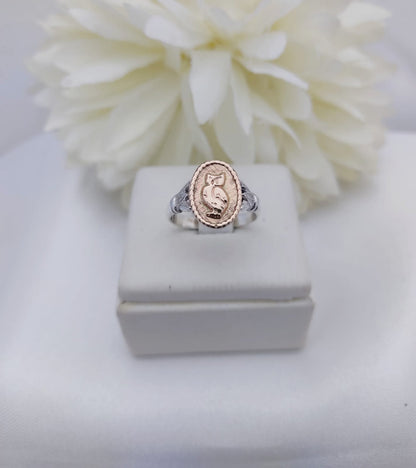 Anillos Profesión Profesor