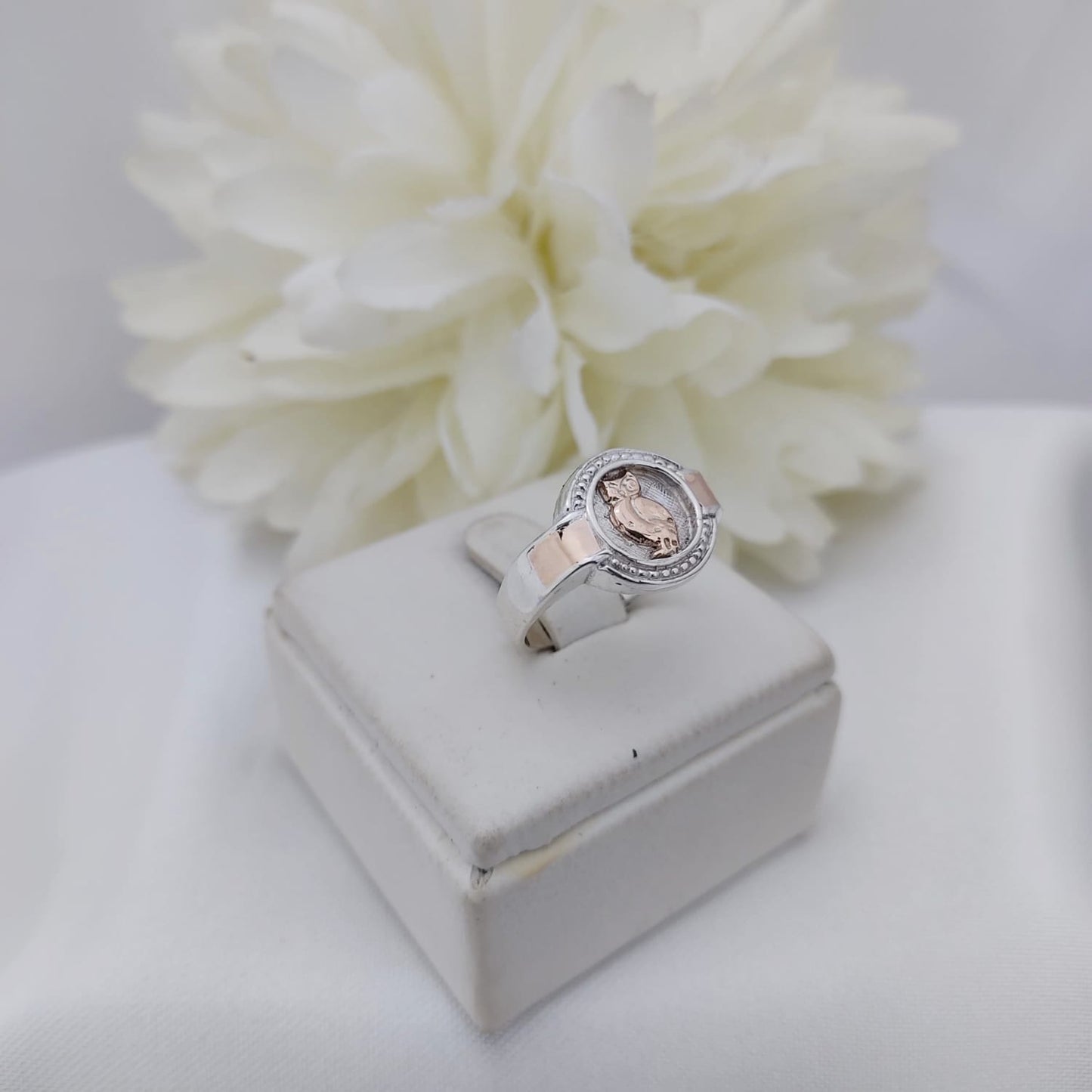 Anillos Profesión Profesor