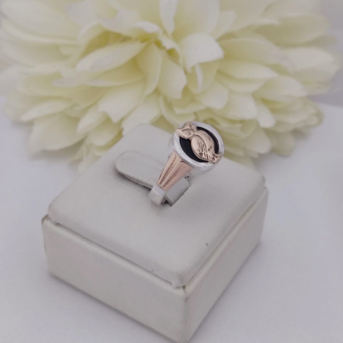 Anillos Profesión Profesor