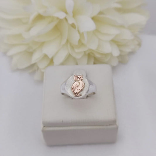 Anillos Profesión Profesor