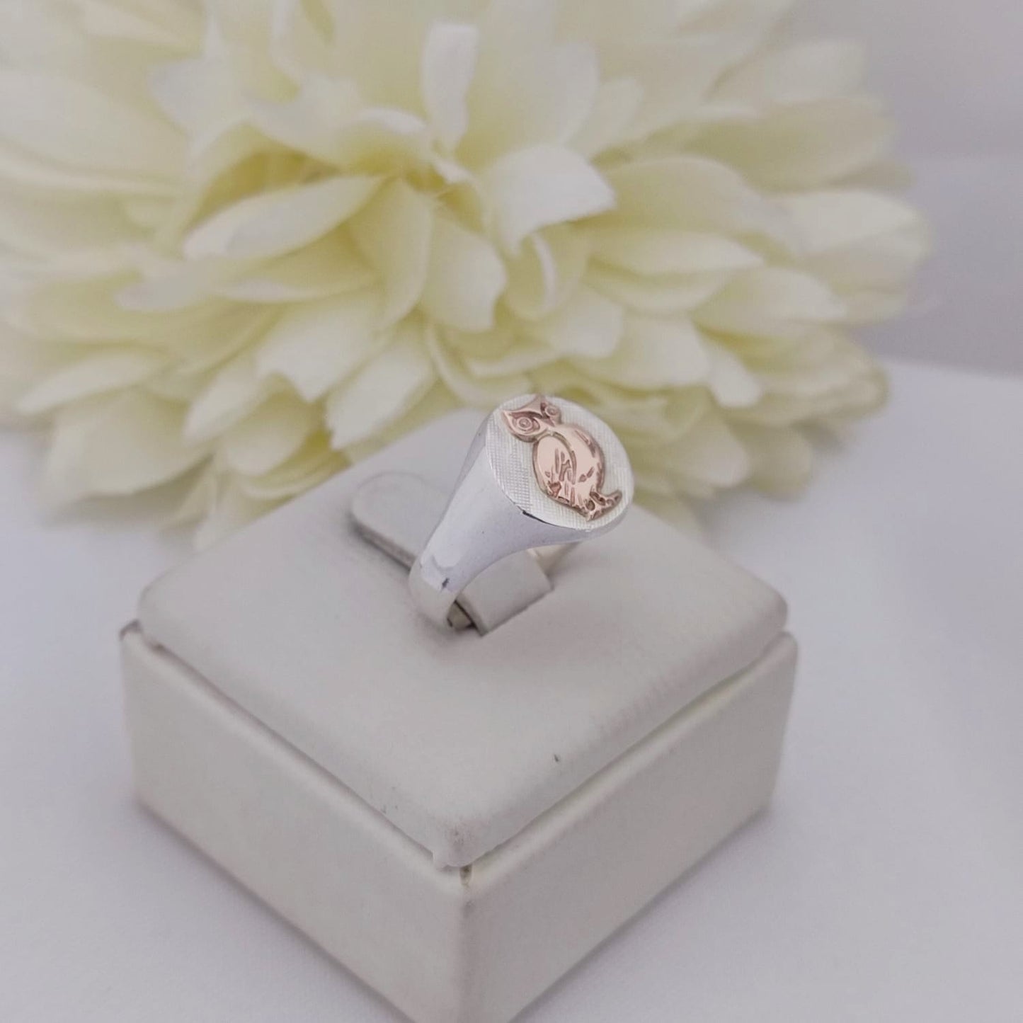 Anillos Profesión Profesor