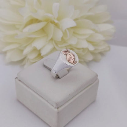 Anillos Profesión Profesor