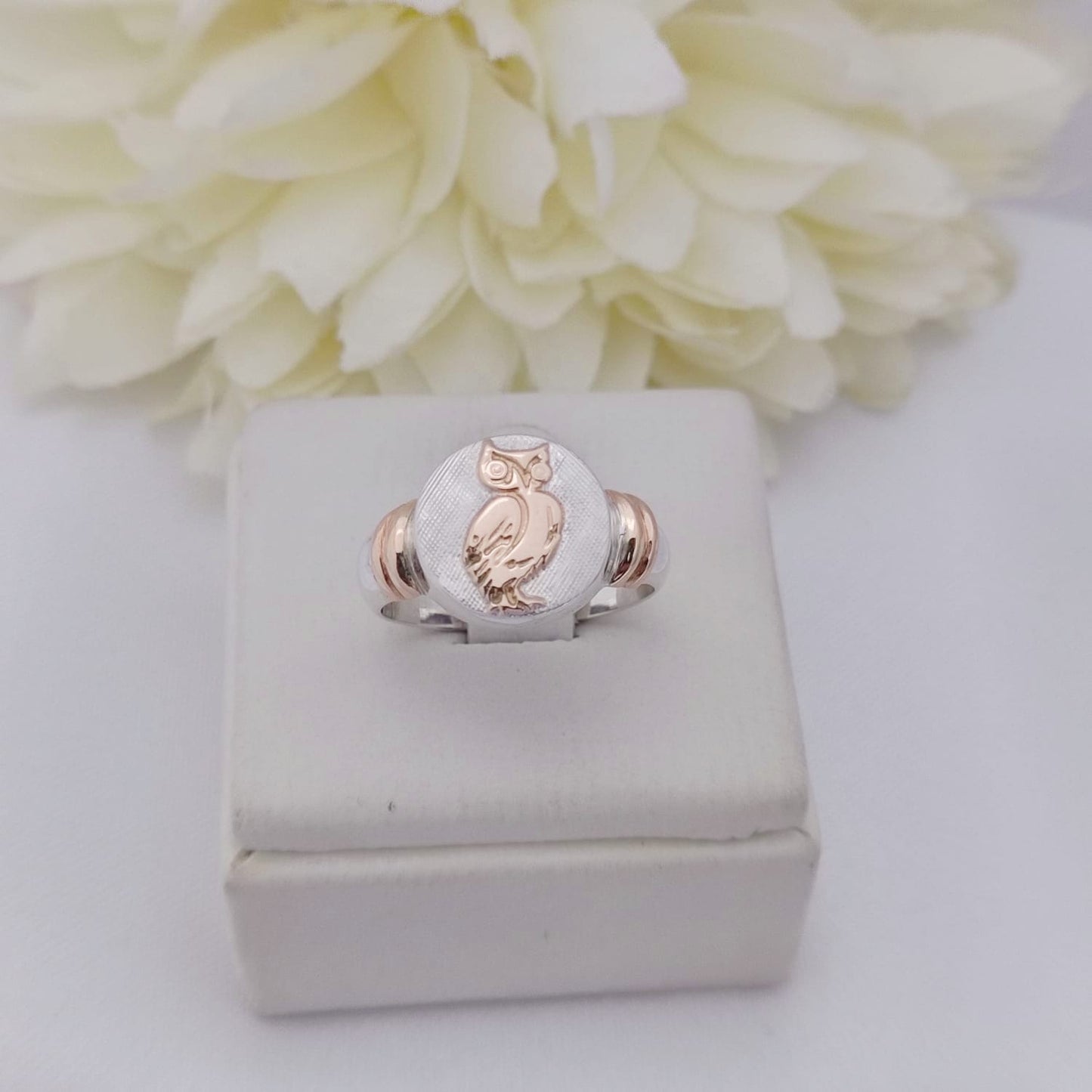 Anillos Profesión Profesor