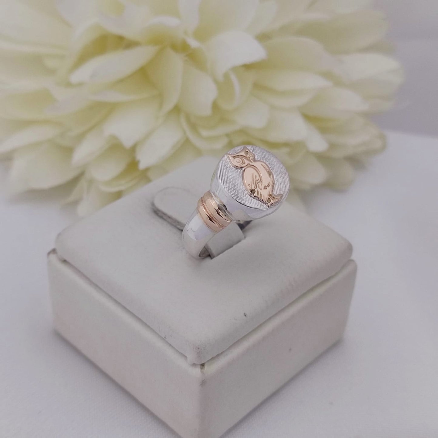 Anillos Profesión Profesor