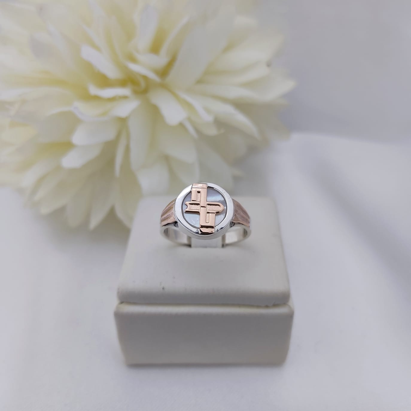 Anillos Profesión Escribano