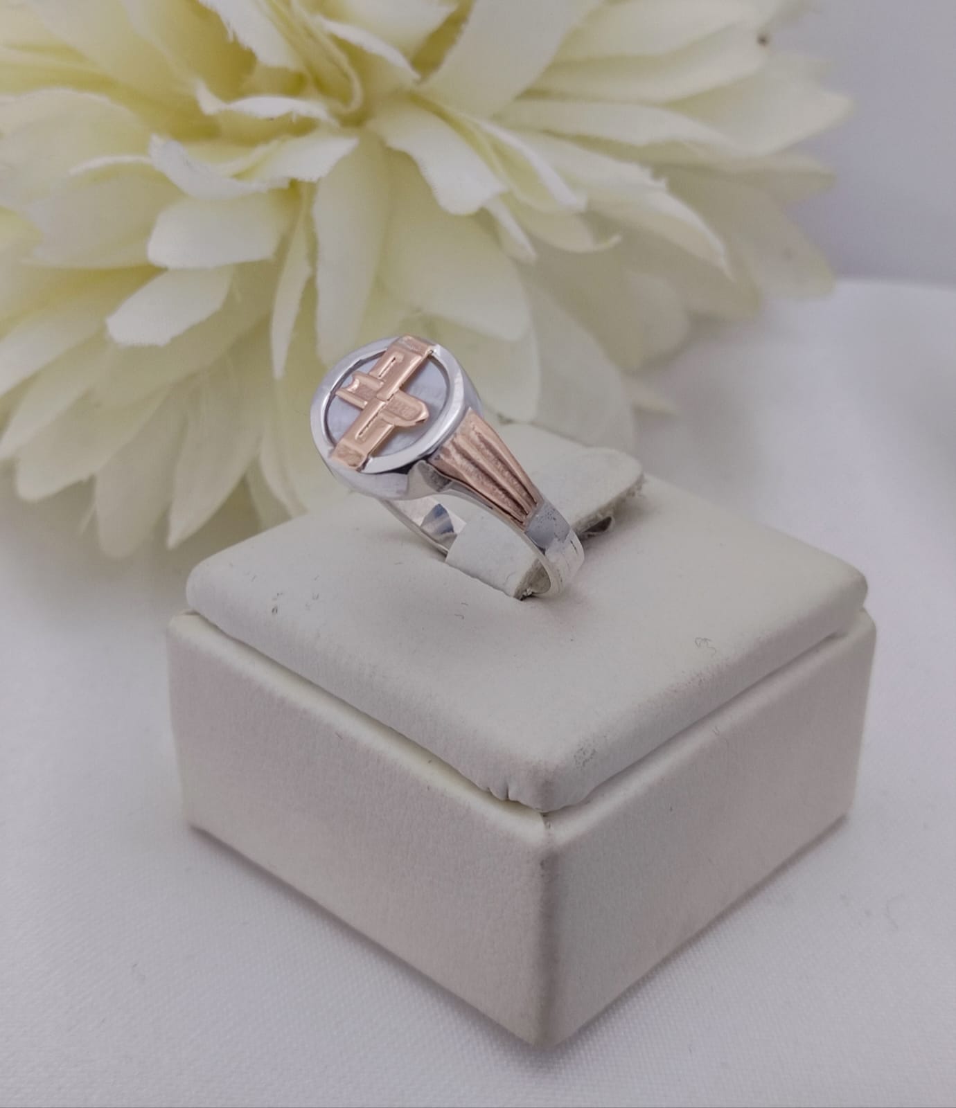 Anillos Profesión Escribano