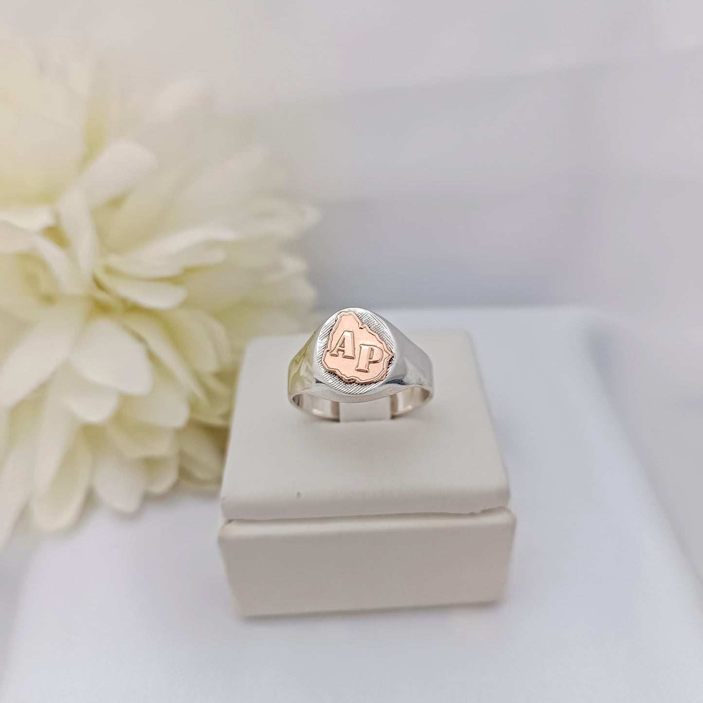 Anillo Profesión Asistente Personal