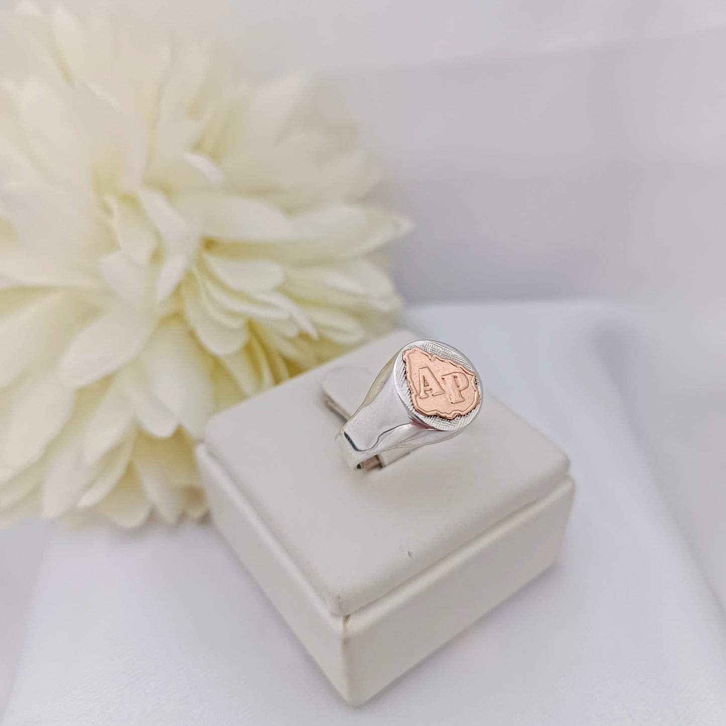 Anillo Profesión Asistente Personal
