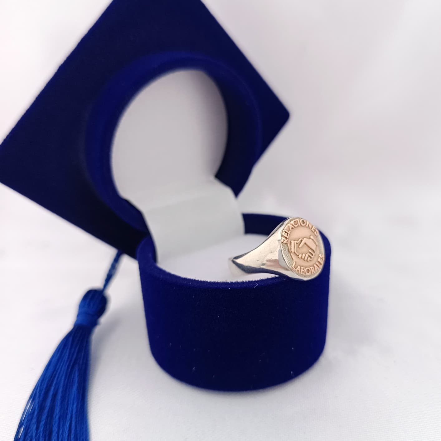 Anillos Profesión