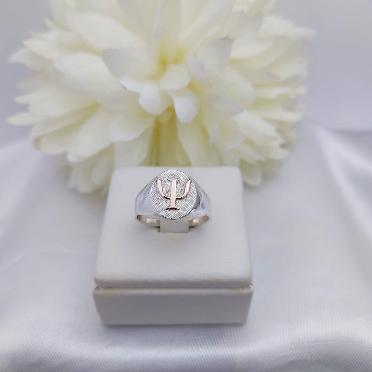 Anillos Profesión Psicología