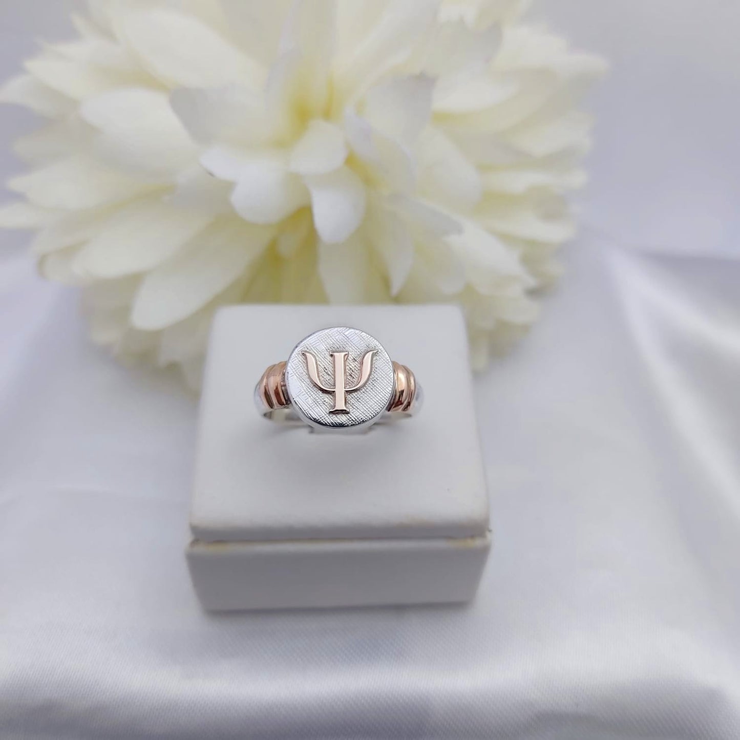 Anillos Profesión Psicología