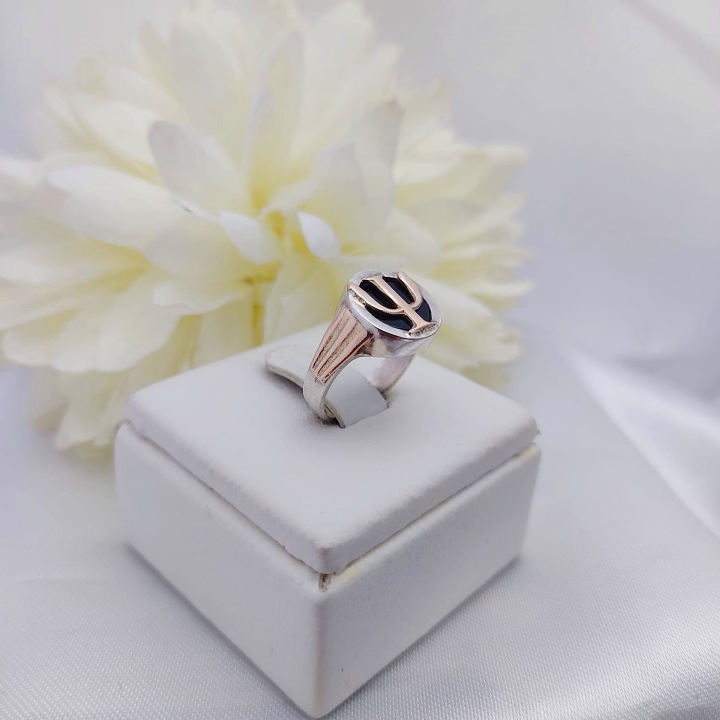 Anillos Profesión Psicología