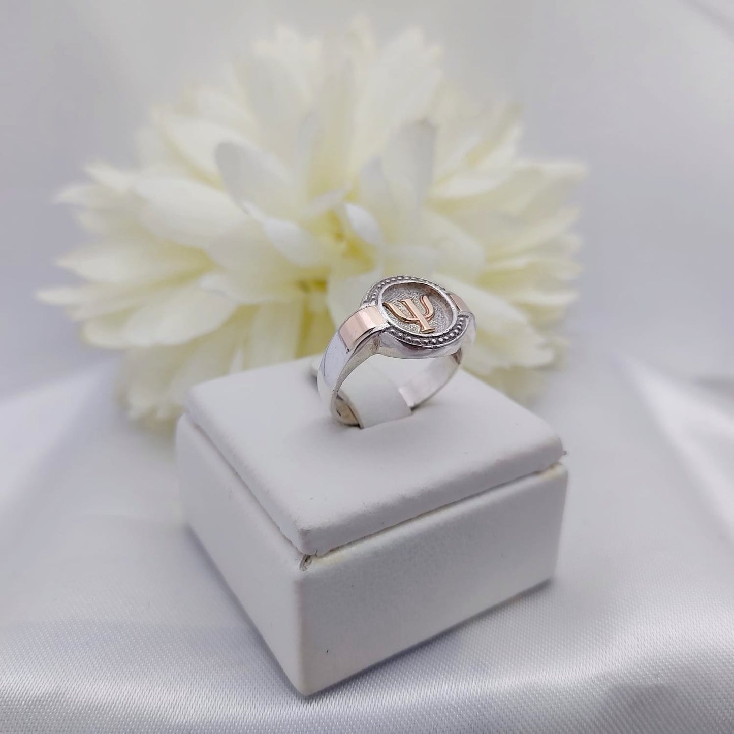 Anillos Profesión Psicología