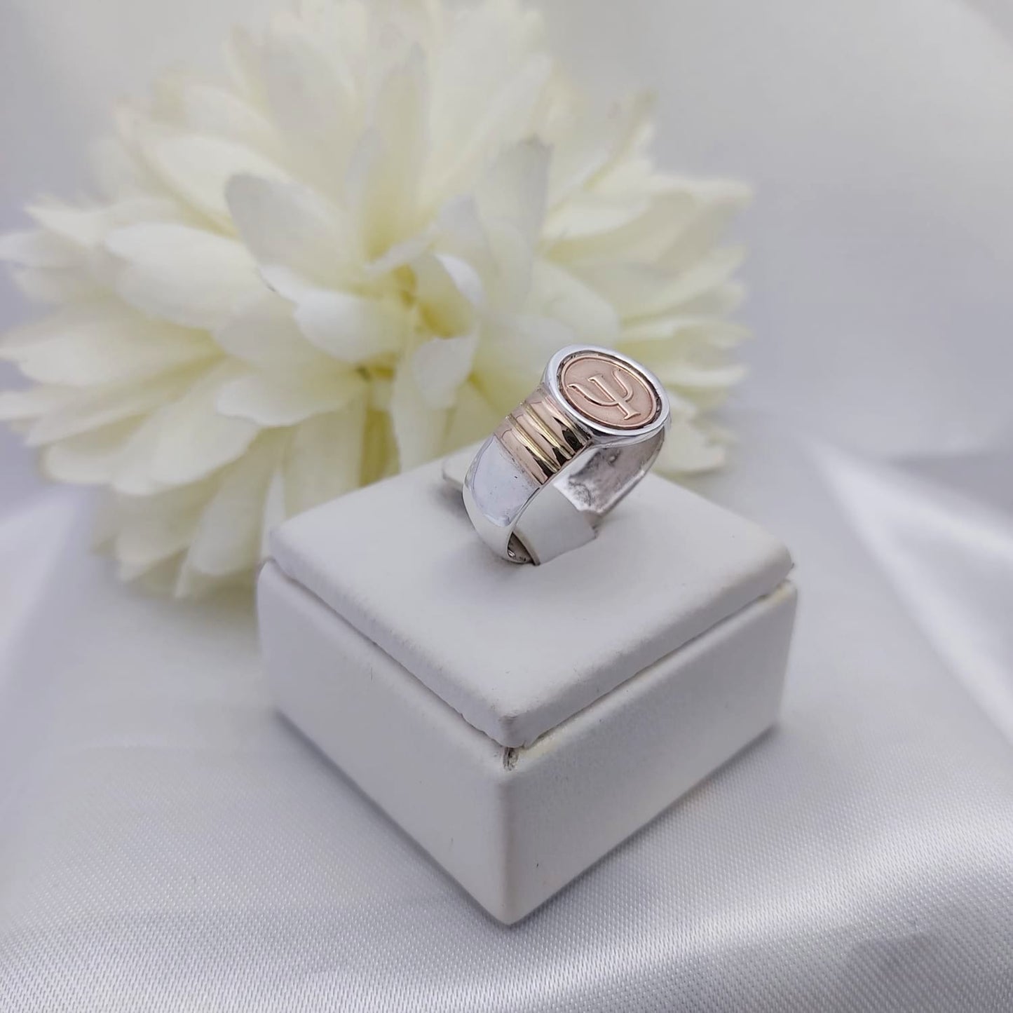 Anillos Profesión Psicología