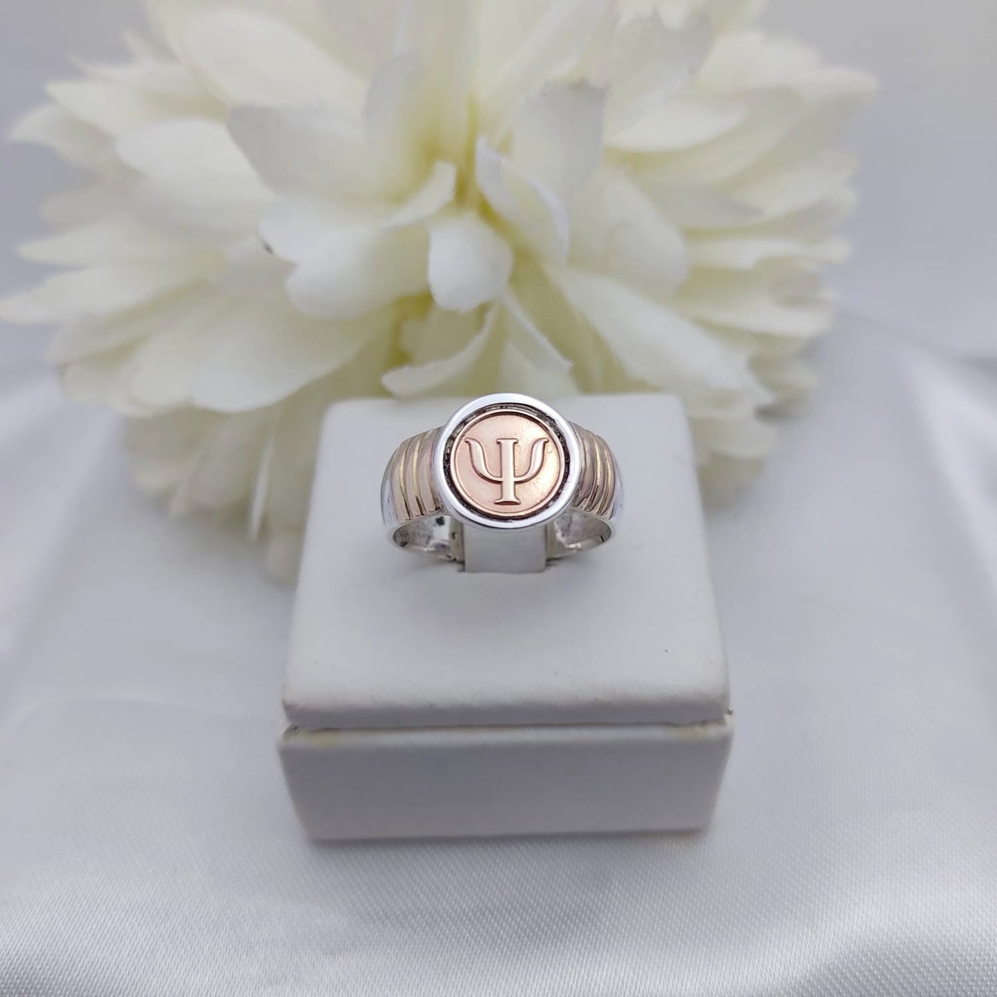 Anillos Profesión Psicología
