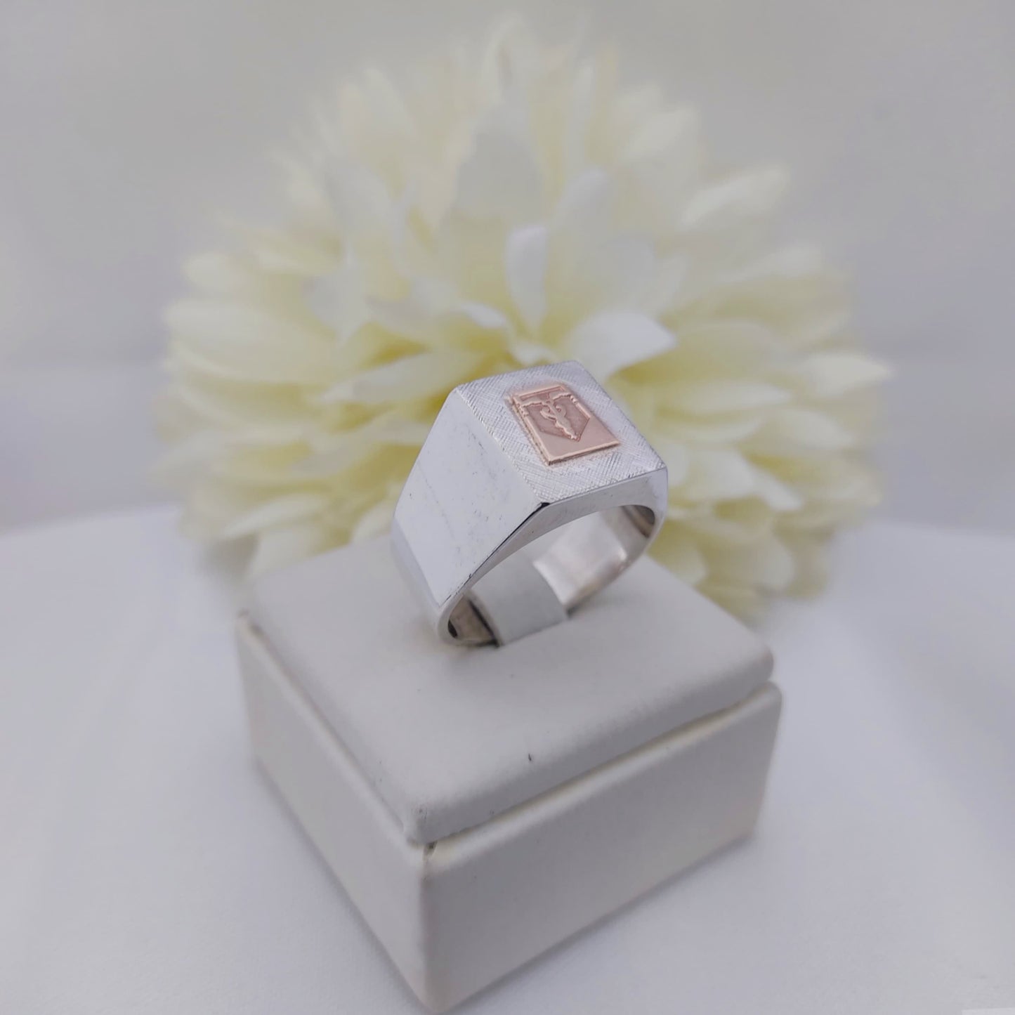 Anillos Profesión Contador
