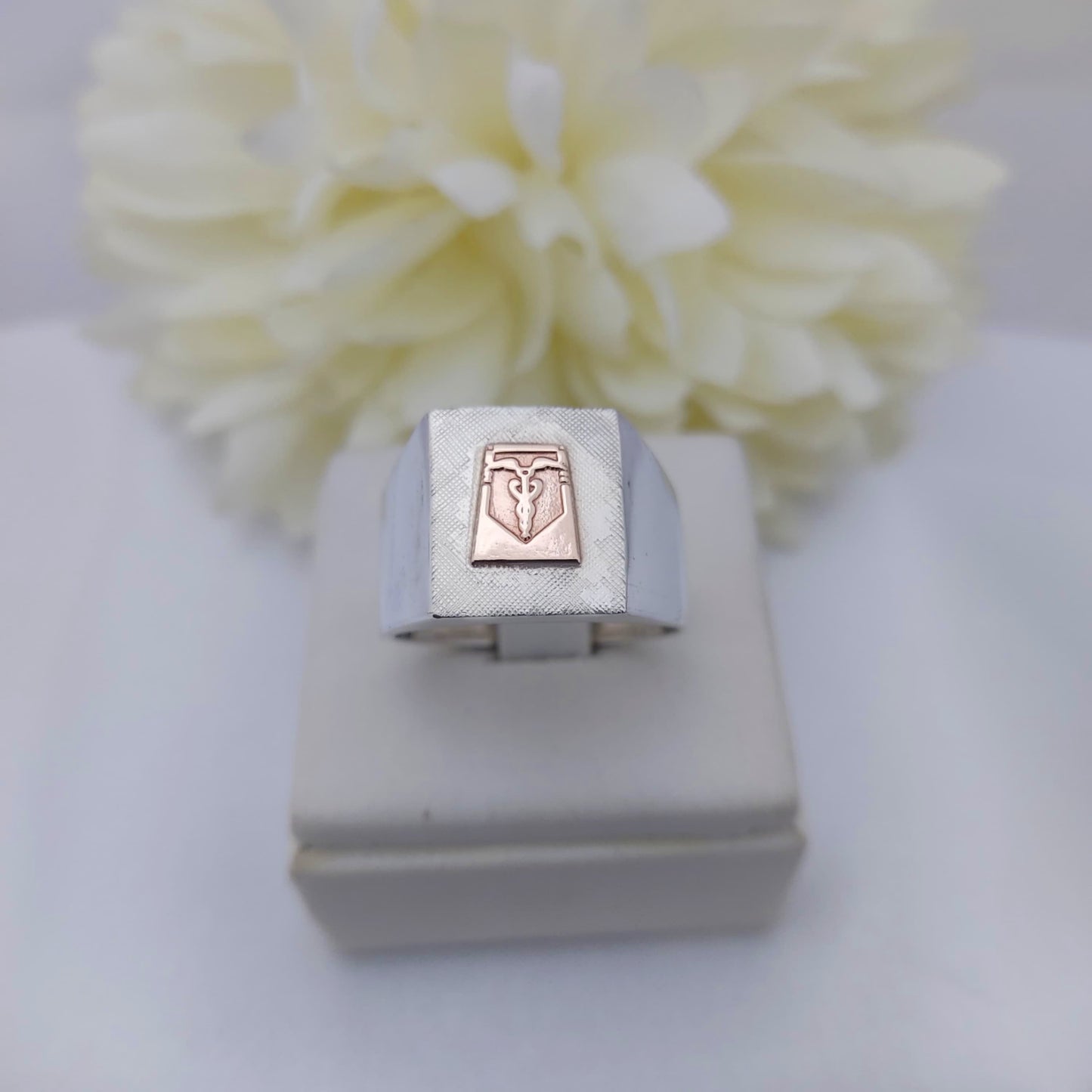 Anillos Profesión Contador