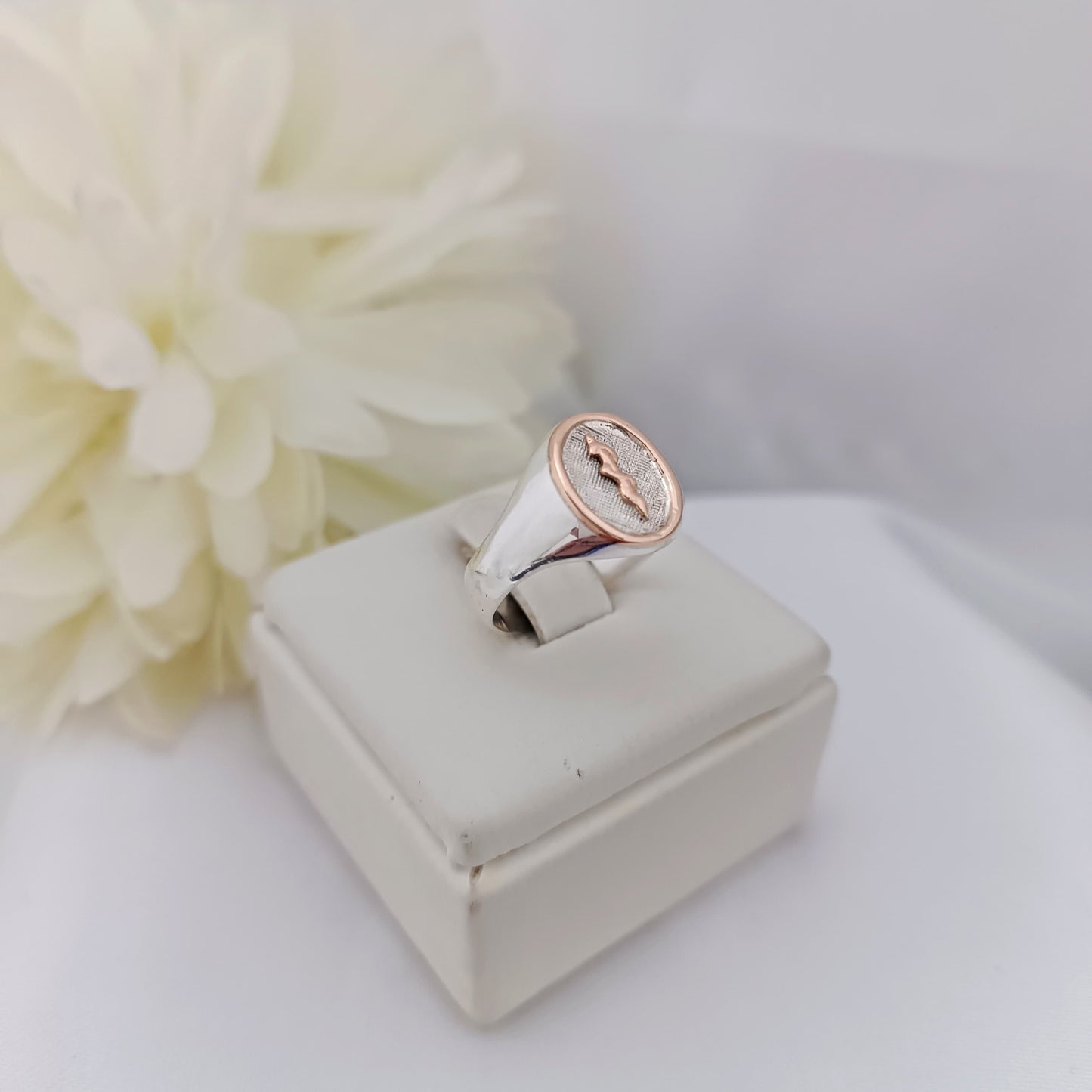 Anillos Profesión Medicina