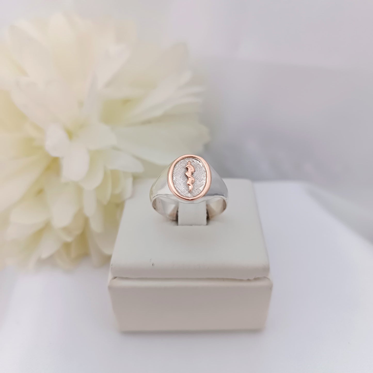 Anillos Profesión Medicina