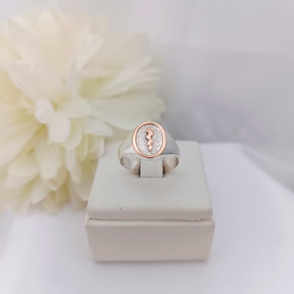 Anillos Profesión Medicina