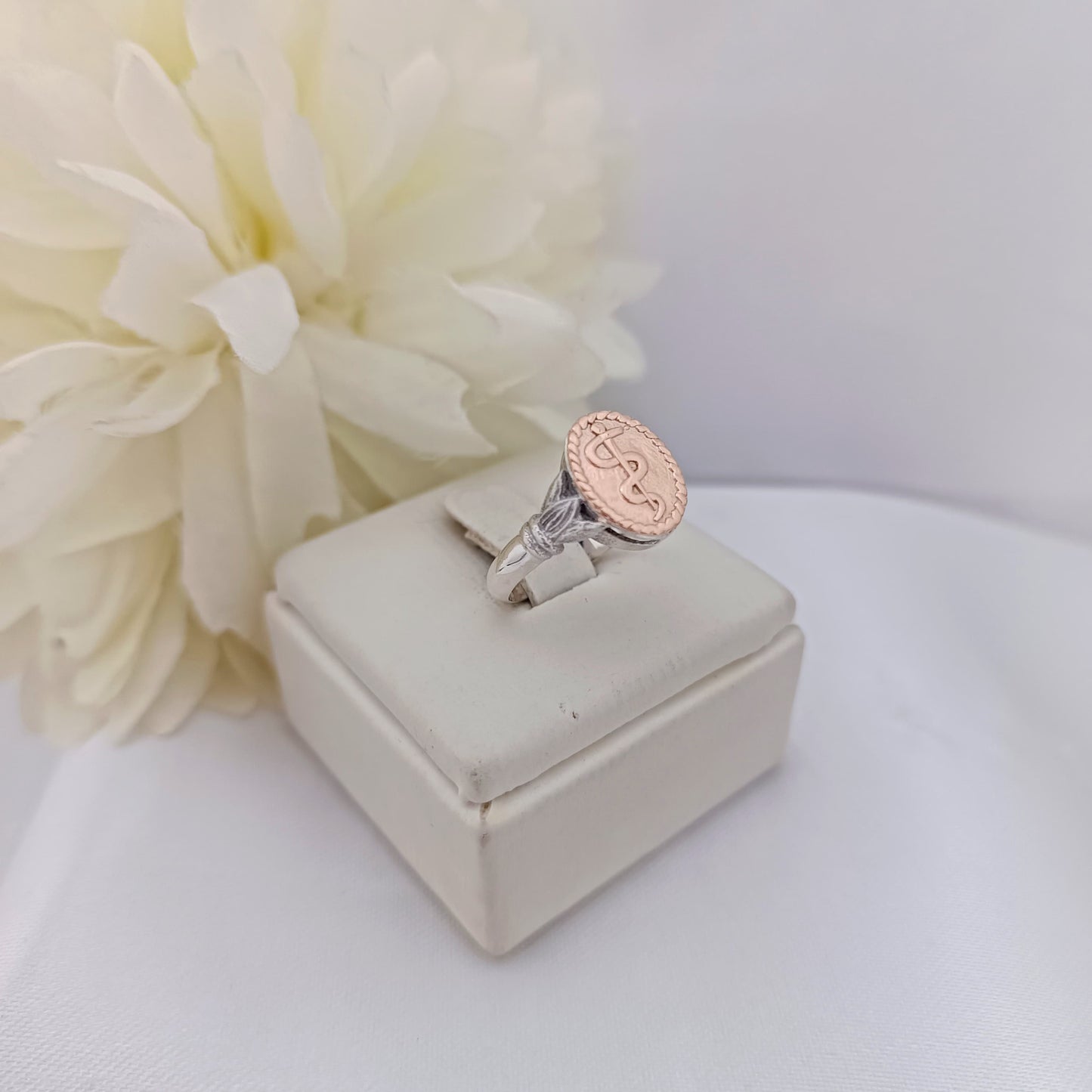 Anillos Profesión Medicina