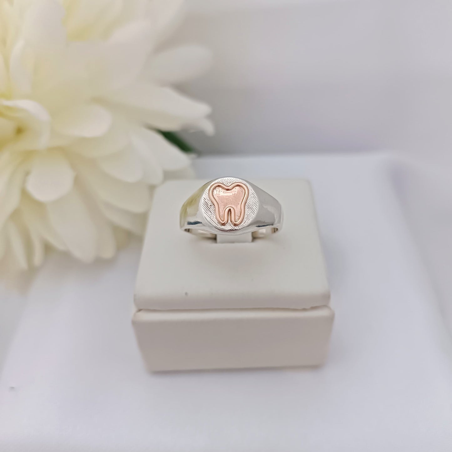 Anillos Profesión Dentista