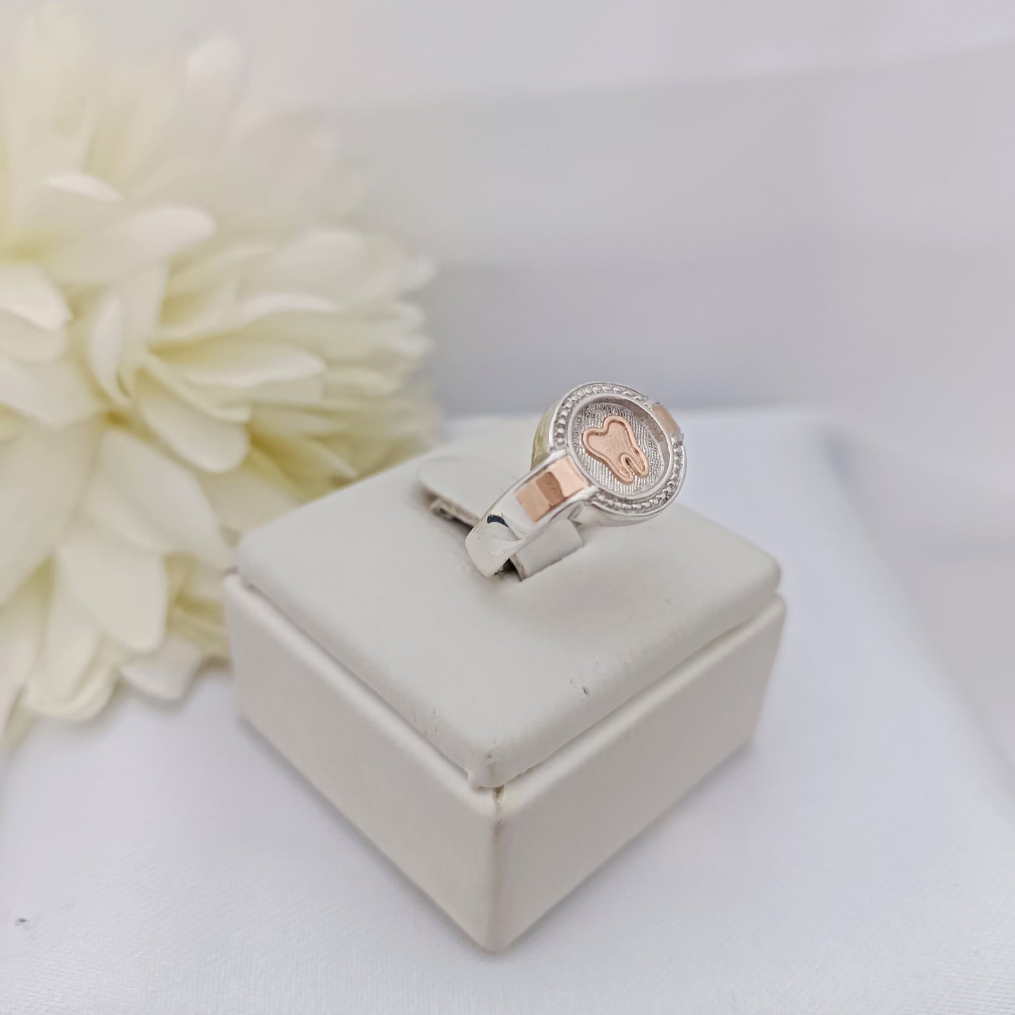 Anillos Profesión Dentista