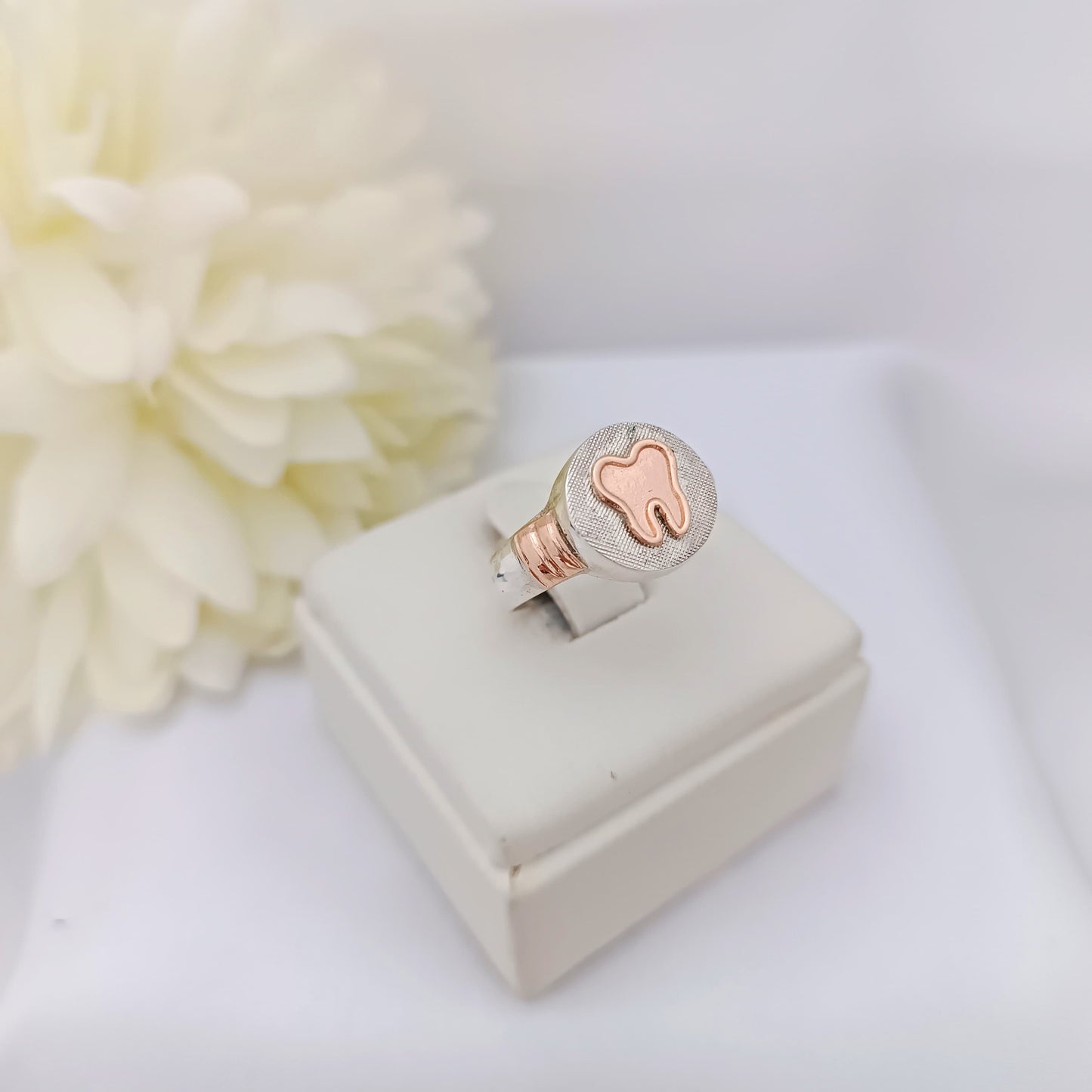Anillos Profesión Dentista