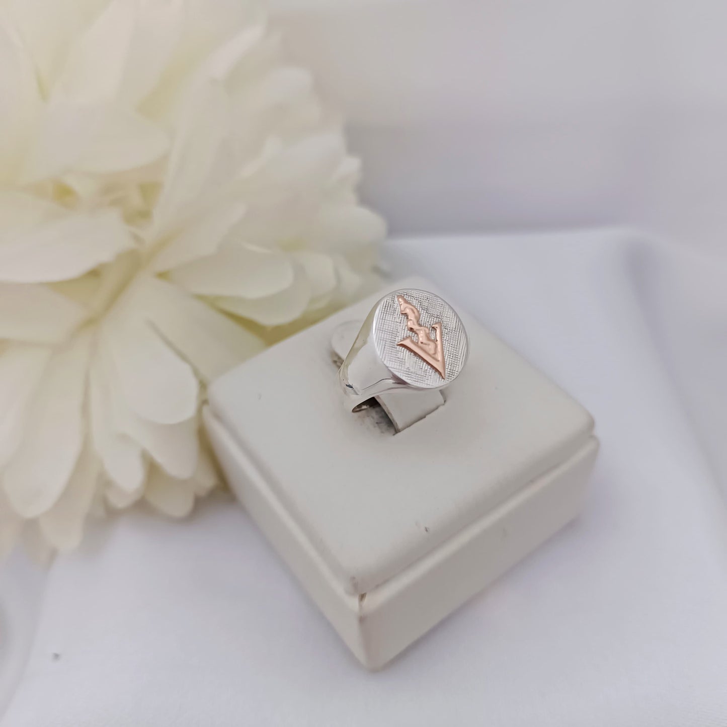 Anillo Profesión Veterinaria