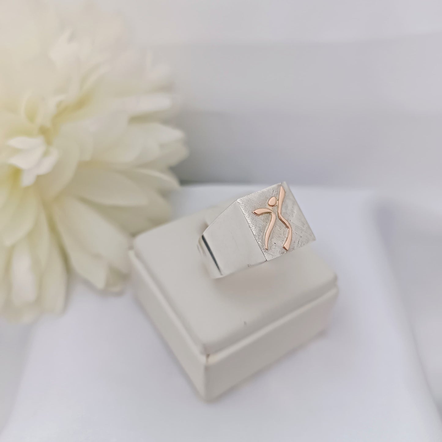 Anillos Profesión ISEF