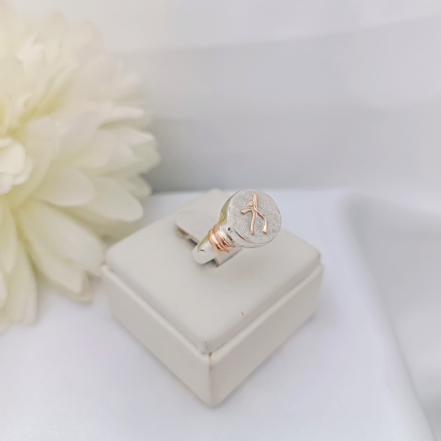 Anillos Profesión ISEF
