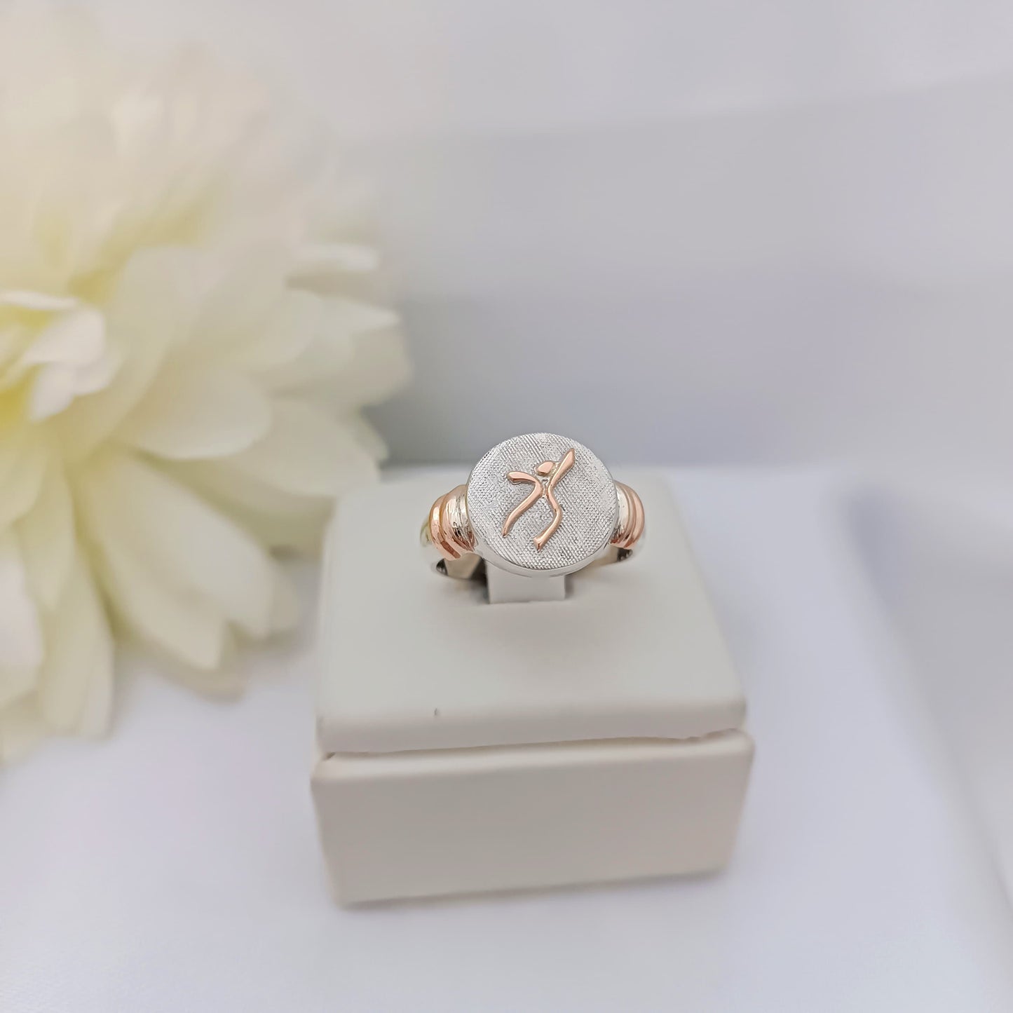 Anillos Profesión ISEF