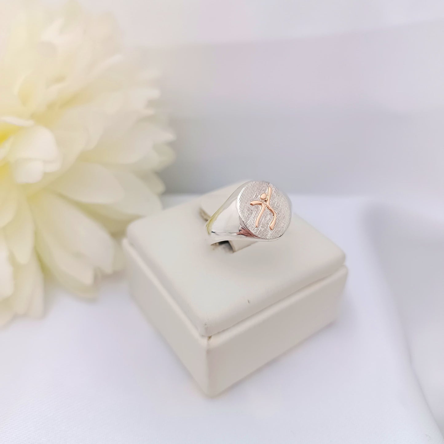 Anillos Profesión ISEF