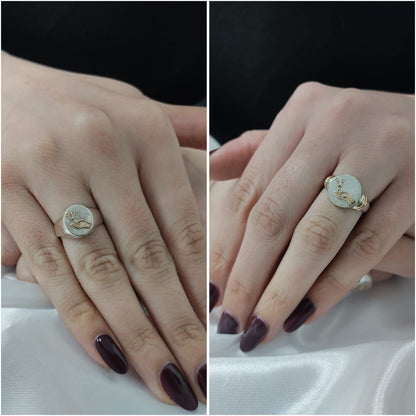 Anillos Profesión Instrumentista