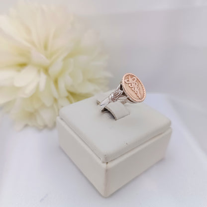 Anillos Profesión Fisioterapia