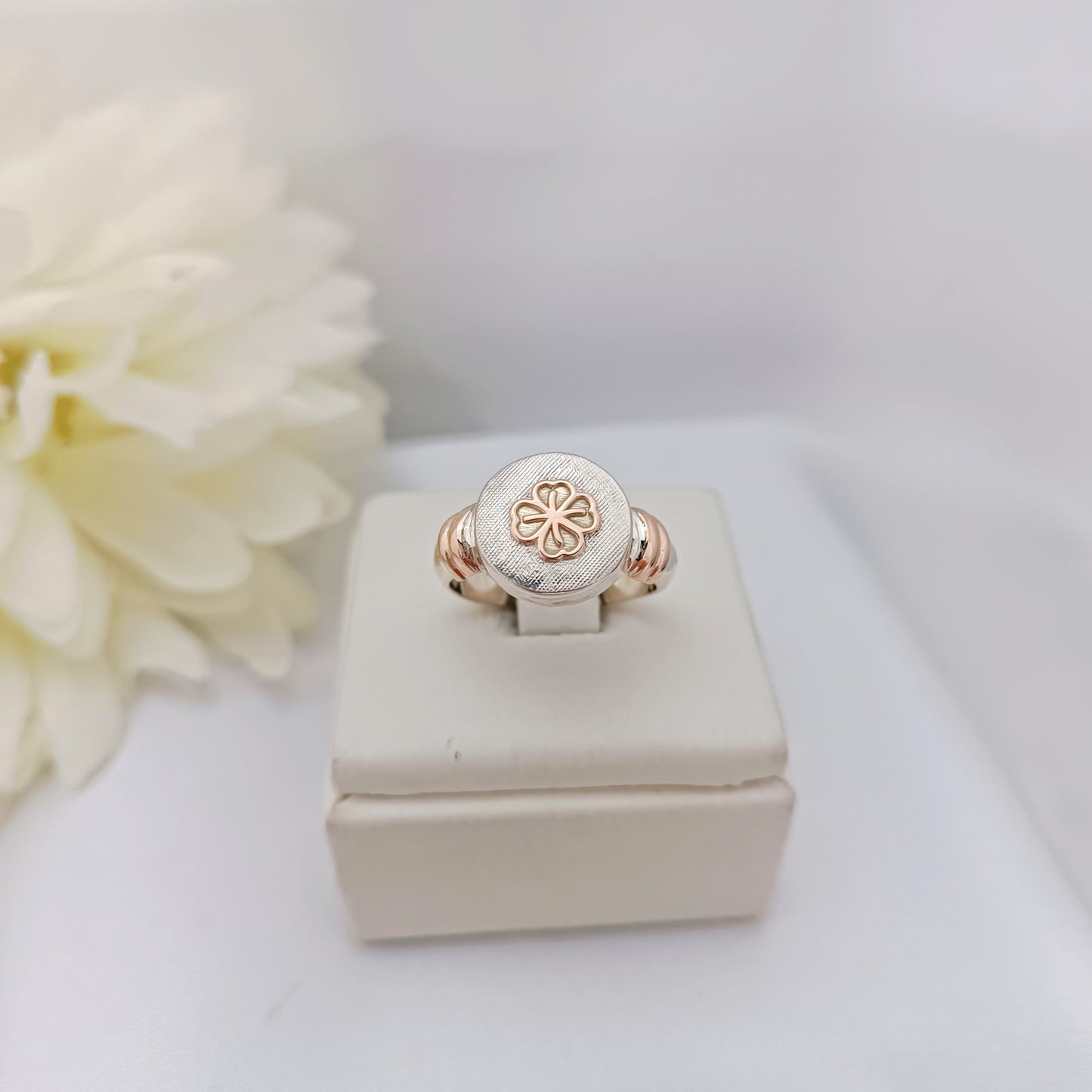 Anillos Profesión Nutricionista