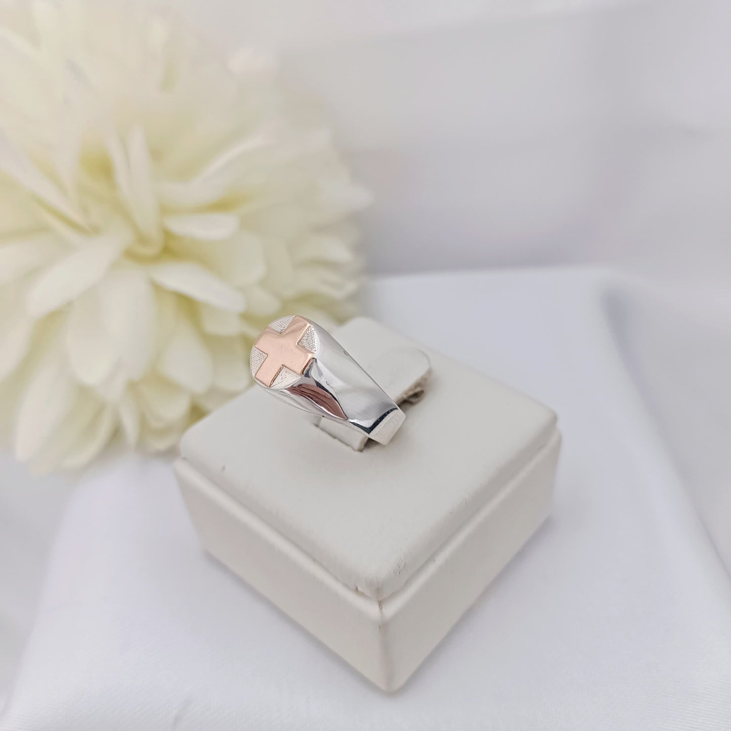 Anillos Profesión Enfermería