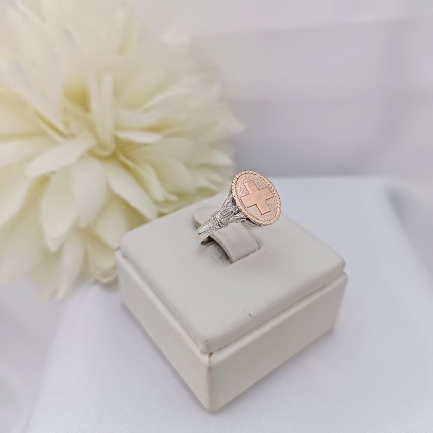 Anillos Profesión Enfermería