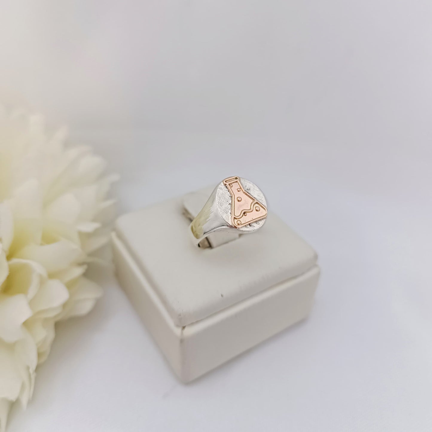Anillos Profesión Químico
