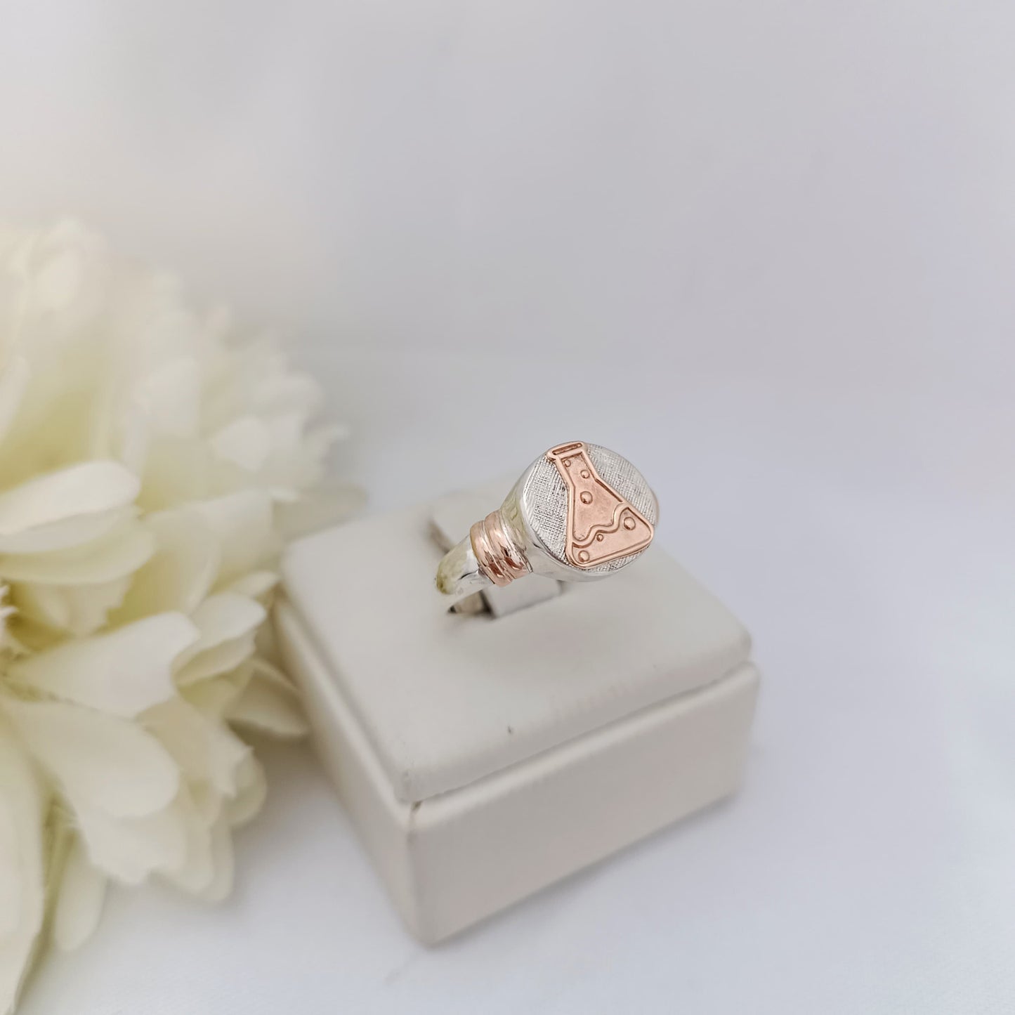 Anillos Profesión Químico