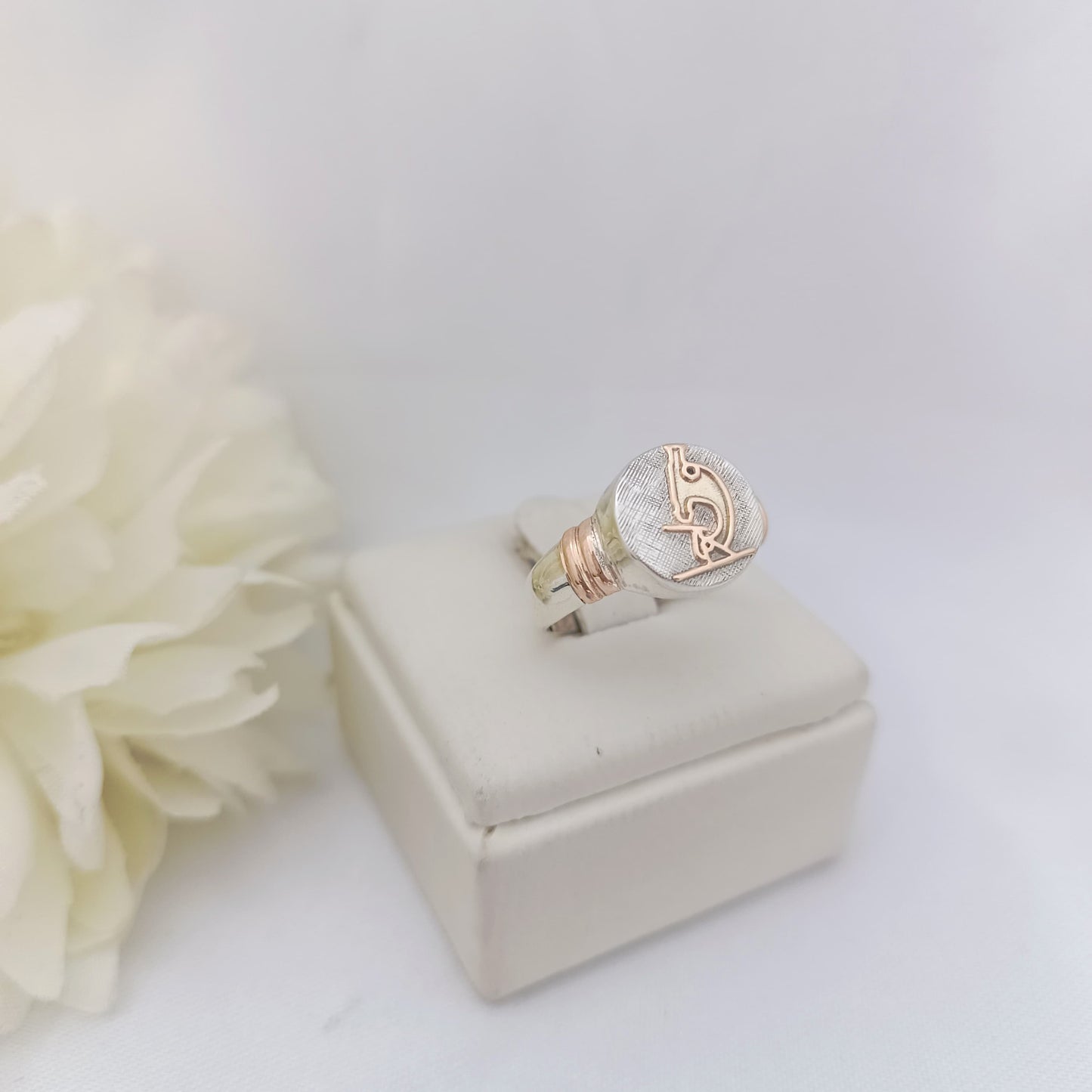 Anillos Profesión Laboratorista