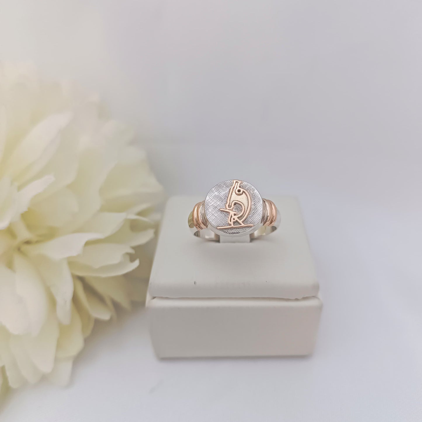 Anillos Profesión Laboratorista
