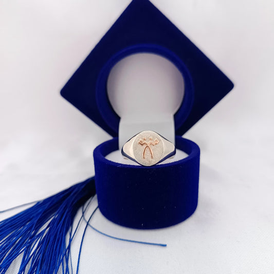 Anillos Profesión Administración