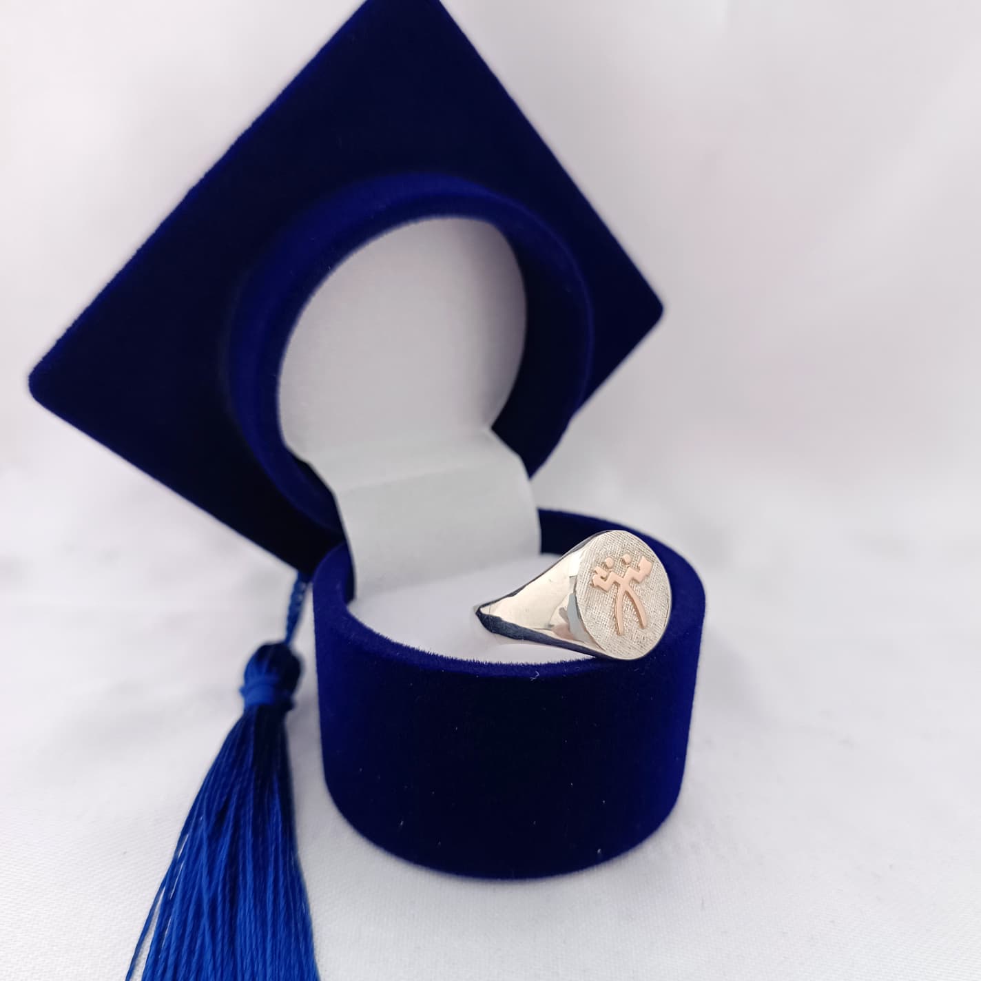 Anillos Profesión Administración