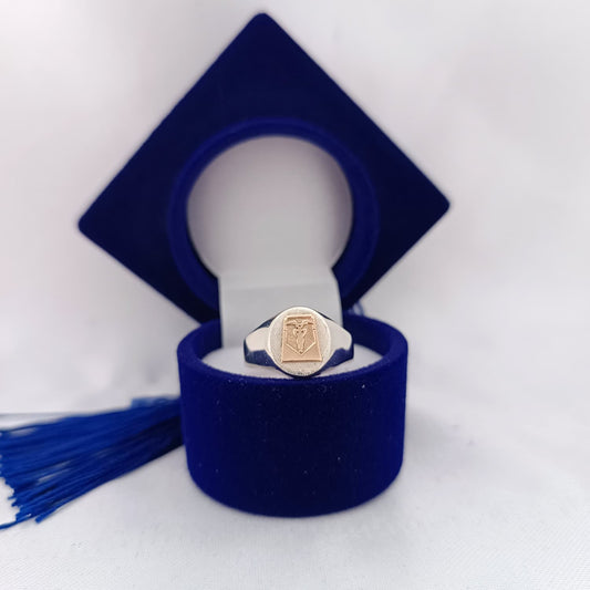Anillos Profesión Contador