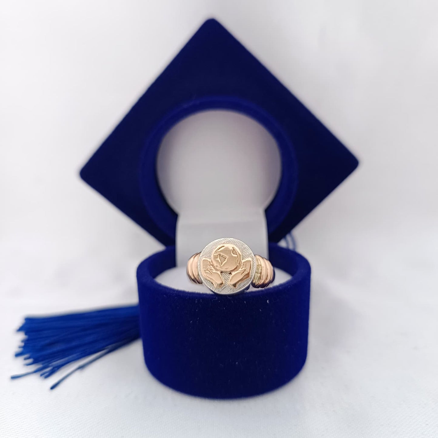 Anillos Profesión