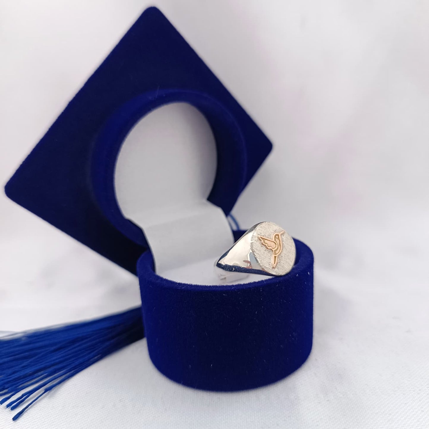 Anillos Profesión