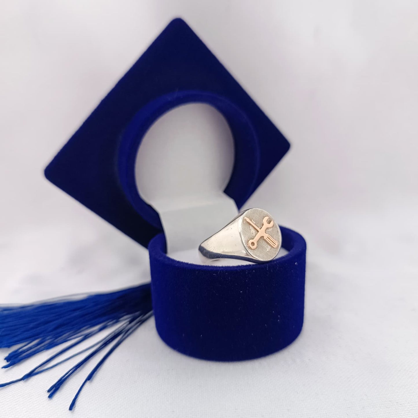 Anillos Profesión