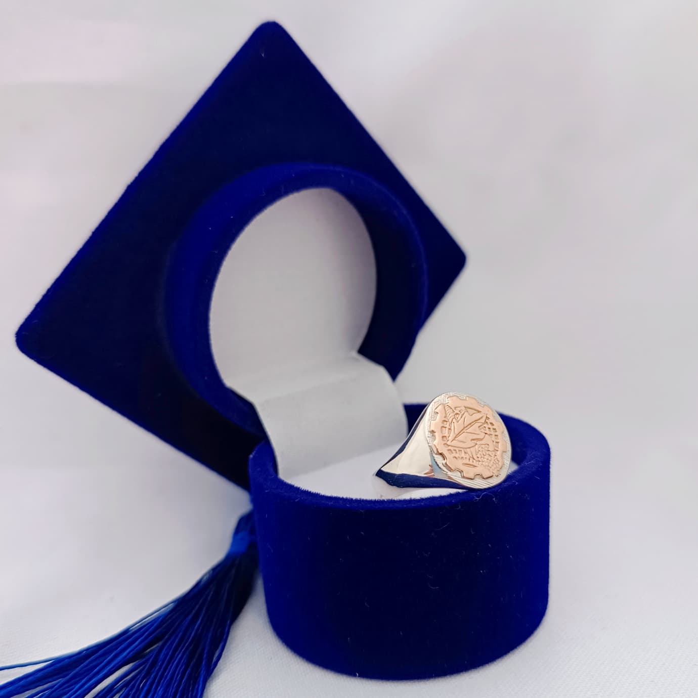 Anillos Profesión